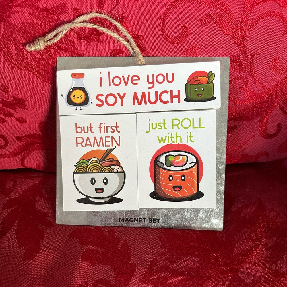 3 piece Magnet Set with Funny Chinese Japenese Food sayings